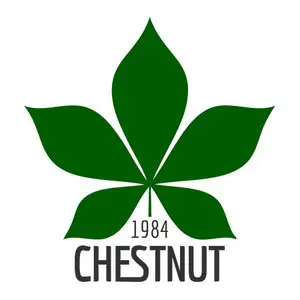 Shenzhen @ Chestnut 1984